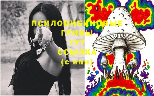тгк Карпинск