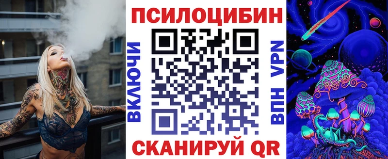 Псилоцибиновые грибы GOLDEN TEACHER  Купить закладки  Саки 